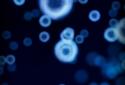 Neon Microcosm Live Wallpaper screenshot 7