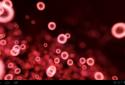 Neon Microcosm Live Wallpaper screenshot 9