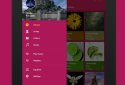 Pulsar Music Player Pro screenshot 10