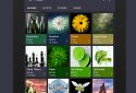 Pulsar Music Player Pro screenshot 9