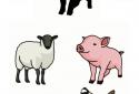 Animal sounds game for kids screenshot 9