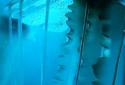 Night Light Jelly Fish LWP 3D screenshot 1