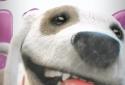 Puppy Licks Screen Animation screenshot 3