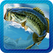 Fishing Fever