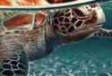 Turtle Ocean Water Pool screenshot 3