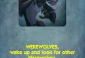 Werwölfe Vollmondnacht screenshot 12