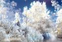 Snowfall Live Wallpaper screenshot 1