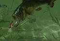 Rapala Fishing - The Daily Catch screenshot 1