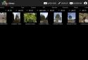 Photo Mate R2 screenshot 12