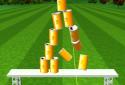 3D Archery World Champion screenshot 6