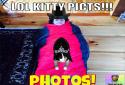 InstaKitty 3D screenshot 10