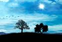 Blue Sky Free Live Wallpaper screenshot 4