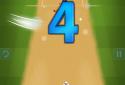 Cricket Premier League screenshot 3