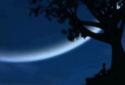 DayNight Live Wallpaper screenshot 4