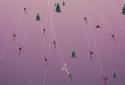 Ski Race Club screenshot 8