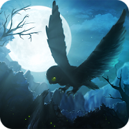 Owl's Midnight Journey