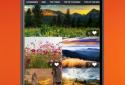 HD Wallpapers screenshot 6