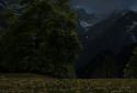 Mountain Dandelions screenshot 3
