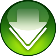 Torrent Downloader