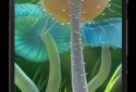 Naturaleza fondo animado screenshot 3
