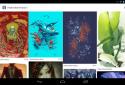 Dayframe (Photos & Slideshow) screenshot 15