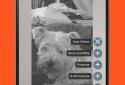 AR Lucida screenshot 2