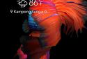 Betta Fish 3D screenshot 6