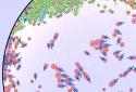 Cell Lab: Evolution Sandbox screenshot 2