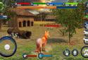 Wild Fox Adventures 2016 screenshot 11