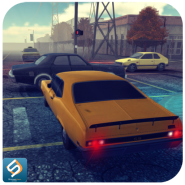 Amazing Sim Taxi 1976