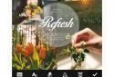 Rookie by JellyBus screenshot 5