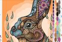 Coloring screenshot 12