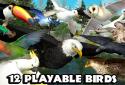 Ultimate Bird Simulator screenshot 2