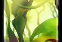 Mossy Forest Live Wallpaper screenshot 7