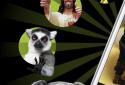 Memedroid Pro Funny memes screenshot 1