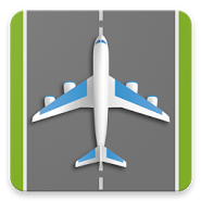 Airport Airport Manager Guy