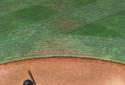 TAP SPORTS BASEBALL MLB 2017 screenshot 12