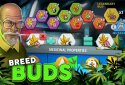 Hempire - Weed Growing Game screenshot 4