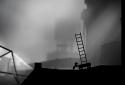 LIMBO screenshot 4