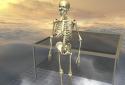 Body Disassembly 3D screenshot 2