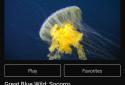 Smithsonian Earth screenshot 3