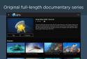 Smithsonian Earth screenshot 9
