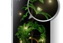 My 3D plant screenshot 3