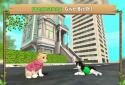 Simulator Cat Online screenshot 3