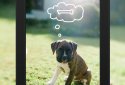 Photo Editor by Aviary screenshot 18
