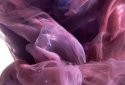 Ink in Water Live Wallpaper screenshot 2