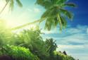 Tropical Beach Live Wallpaper screenshot 4