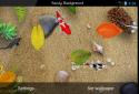 Koi Free Live Wallpaper 3D screenshot 9