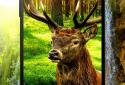 Animals 3D parallax live wallpaper screenshot 6 Animals 3D parallax live wallpaper screenshot 6