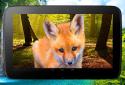 Animals 3D parallax live wallpaper screenshot 9 Animals 3D parallax live wallpaper screenshot 9